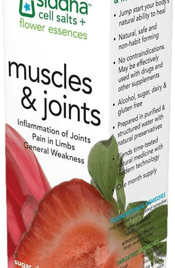 Muscles & Joints